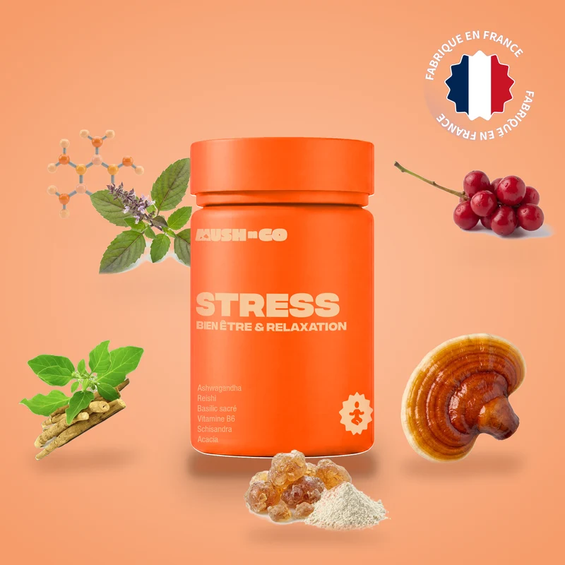 Visuel officiel MushNGo : Anti-stress
