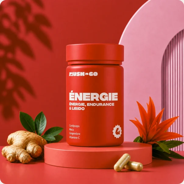 Visuel officiel MushNGo : Énergie